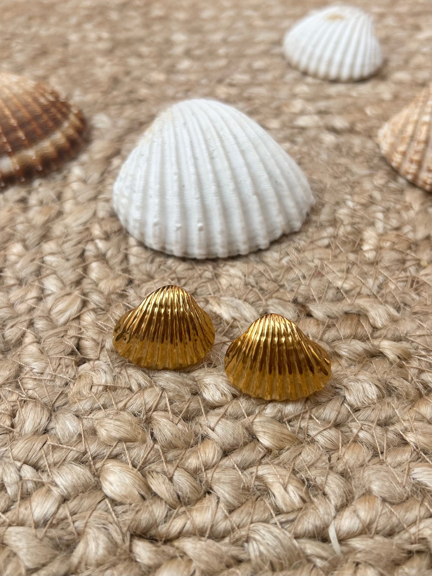 Boucle d’oreille coquillage